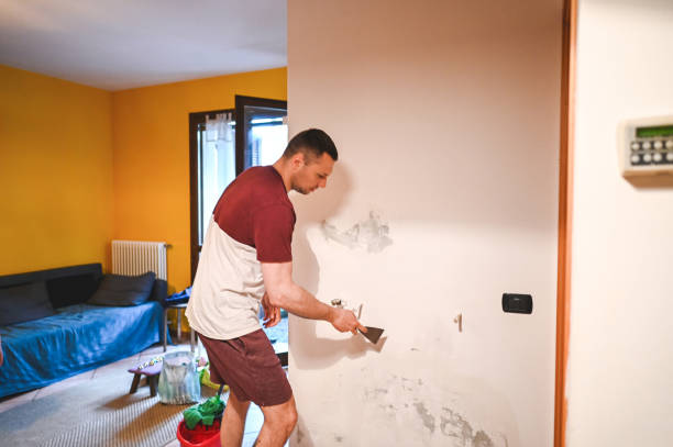 Mold Removal Process in Redfield, AR