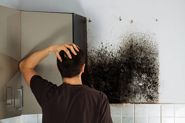 Best Office Mold Removal Services  in Redfield, AR