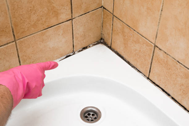 Best Mold Removal Process  in Redfield, AR